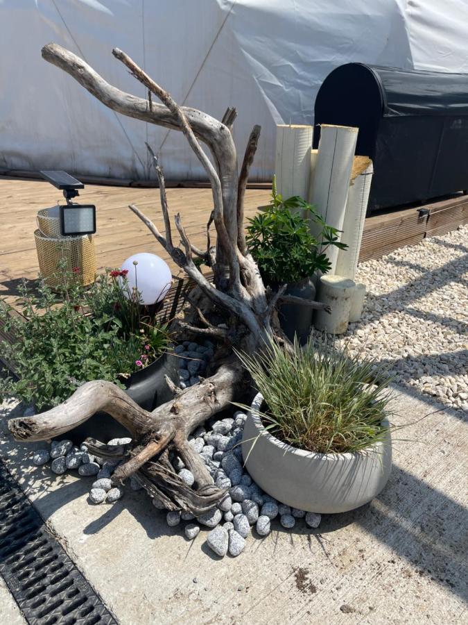 Maison Du Golf Costinești Kültér fotó
